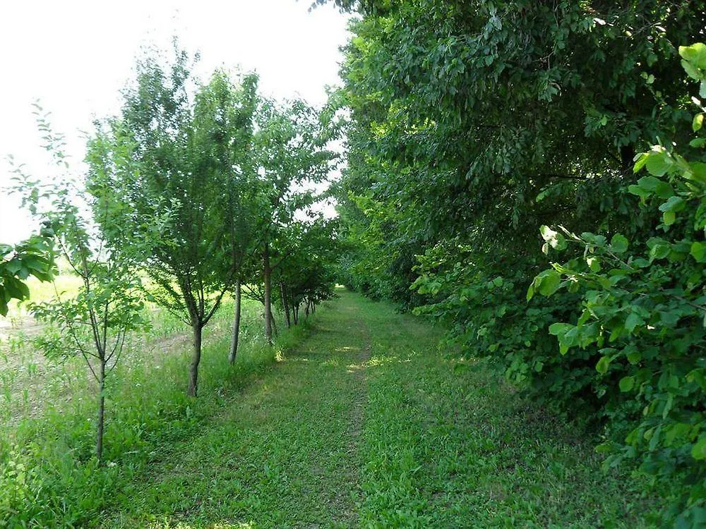 Agriturismo Dartora Sambruson