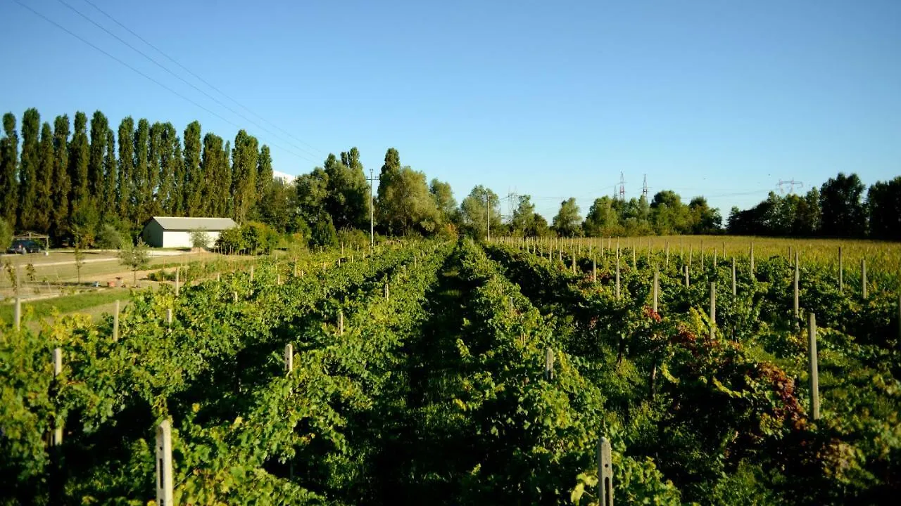 Agriturismo Dartora Sambruson